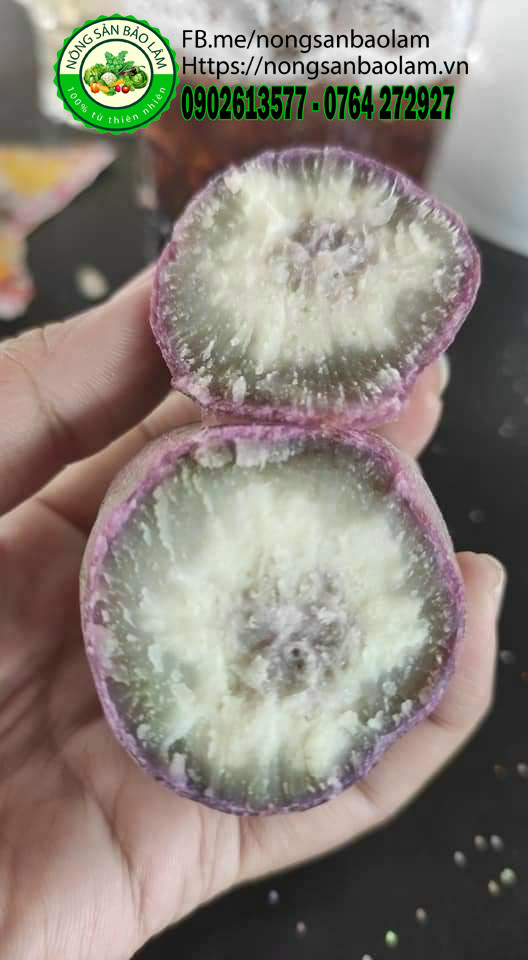 khoai lang duong ngoc - nong san bao lam 4