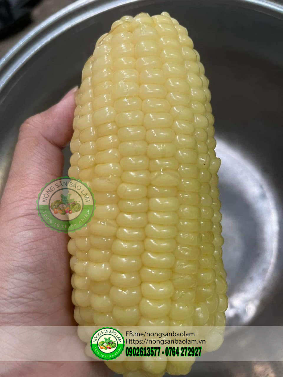 Bắp Nếp Nù loại 3-4Trái 1kg 2