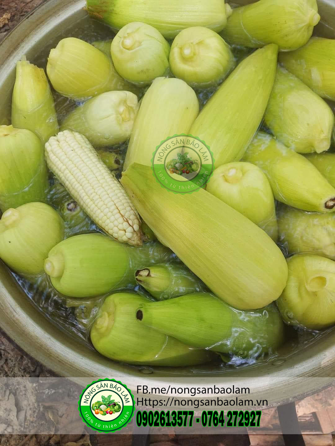 Bắp Nếp Nù loại 3-4Trái 1kg 4