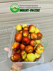 HỒNG TÁO TƯƠI