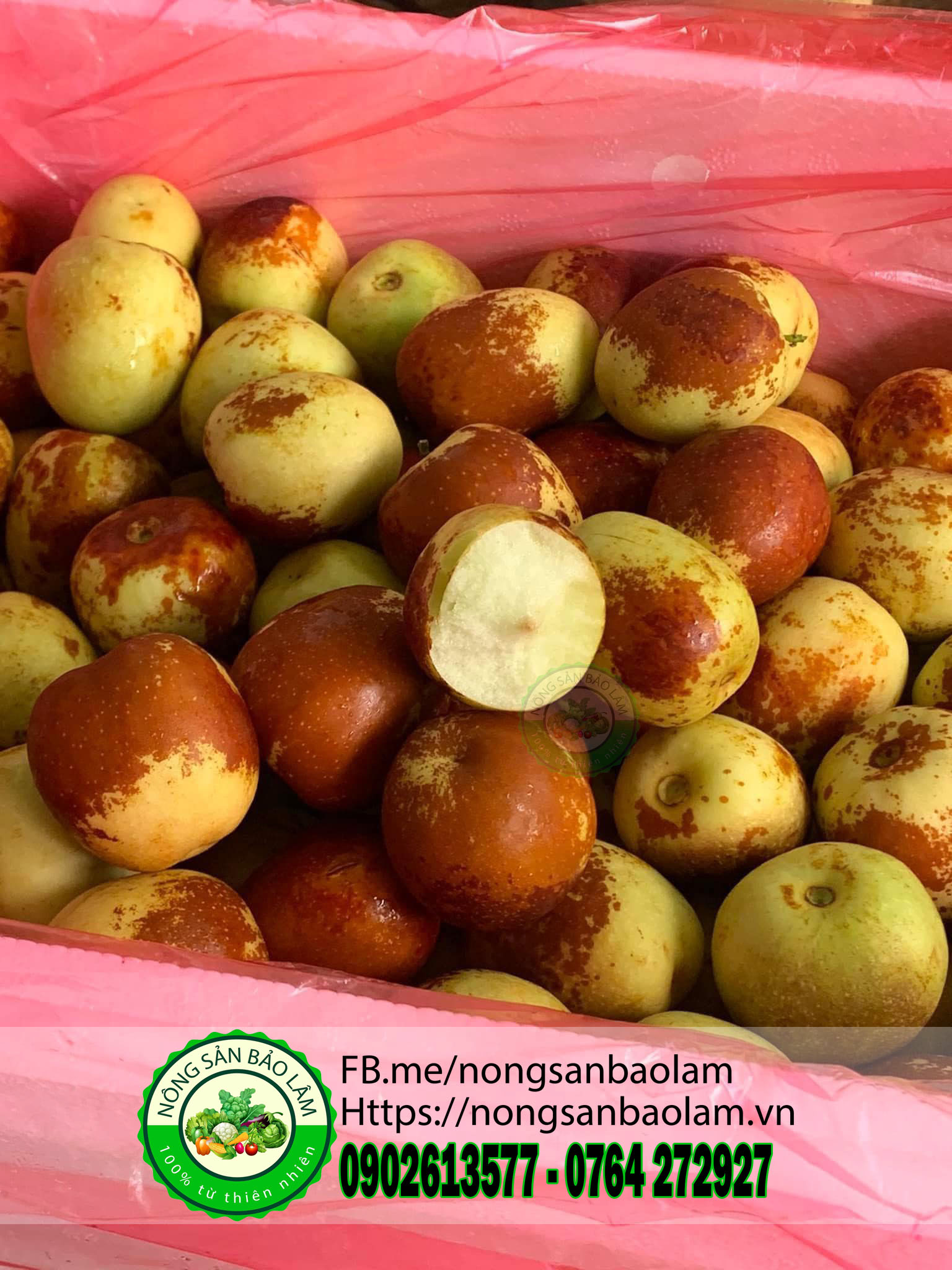 HỒNG TÁO TƯƠI - nongsanbaolam 5