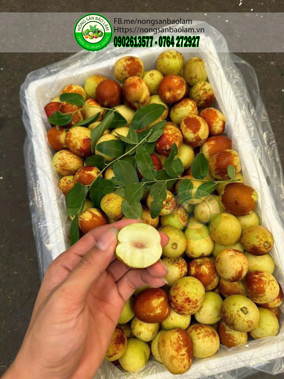 HỒNG TÁO TƯƠI - nongsanbaolam 6