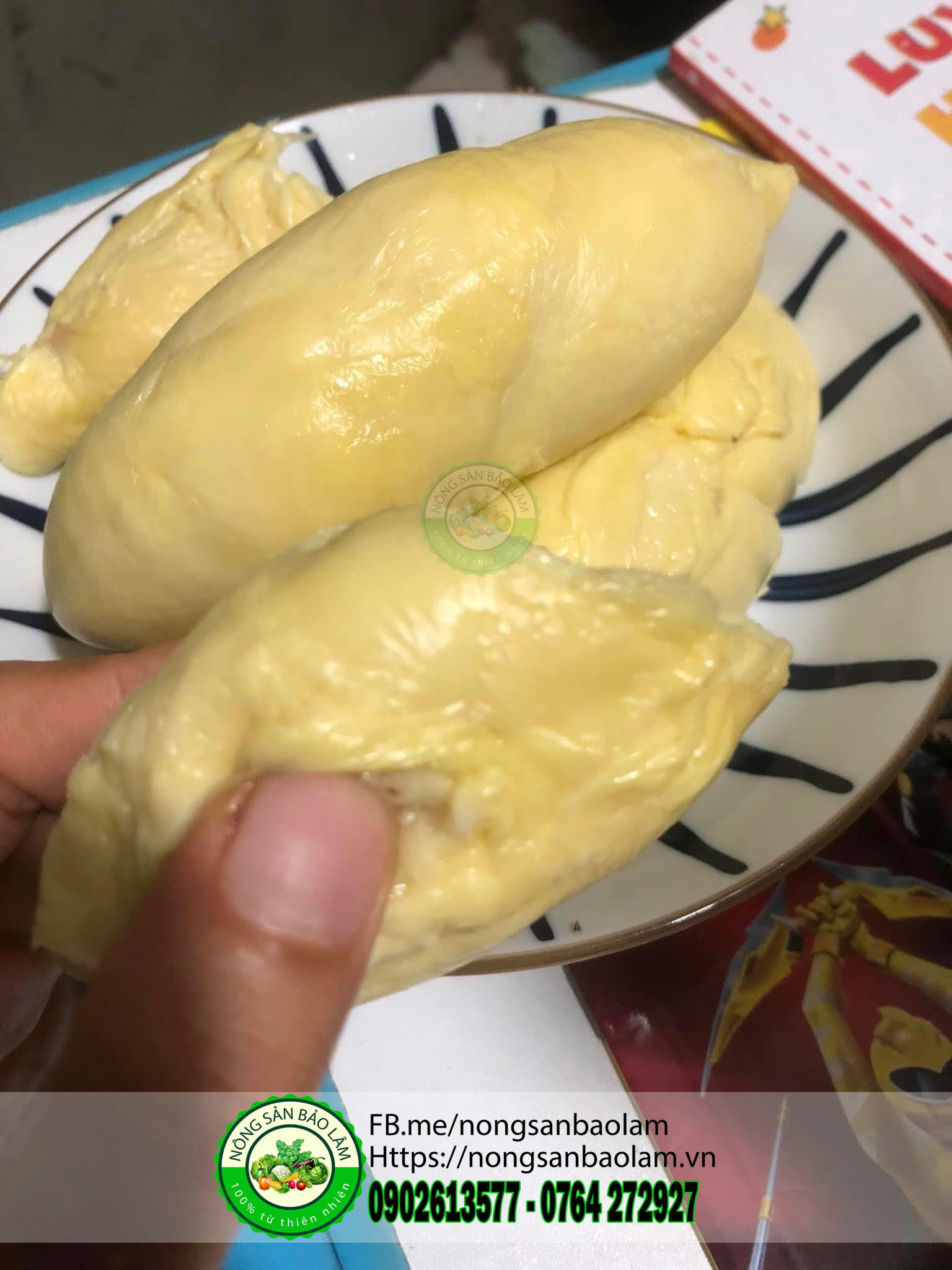 Sầu Riêng Chuồng bò da xanh hạt lép - nông sản bảo lâm 4