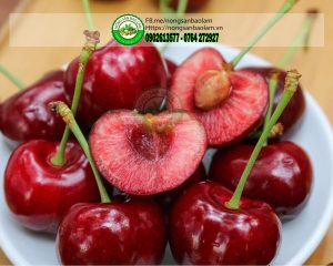 Cherry Mỹ