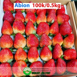 Dâu Abion Nông Sản Bảo Lâm, Trái Cây Quận 10 HCM, Trái Cây Sài Gòn, Trái Cây Xanh, Trái Cây Sạch, Trái Cây Xuất Khẩu, Trái Cây Nhập Khẩu, Trái Cây Theo Mùa, Trái Cây Vườn, Nông Sản Sạch, Organic, Hữu Cơ, Fruits, Healthy Food, Hàng Tiêu Dùng, Hải Sản Tươi Sống, Nho, Dâu, Táo, Lê, Sầu Riêng, Bưởi, Thơm, Dưa Hấu, Cherry, Cá, Hàu, Thịt Heo, Thịt Gà, Thịt Bò, Mẹ, Bé