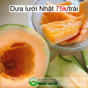 Nông Sản Bảo Lâm, Trái Cây Quận 10 HCM, Trái Cây Sài Gòn, Trái Cây Xanh, Trái Cây Sạch, Trái Cây Xuất Khẩu, Trái Cây Nhập Khẩu, Trái Cây Theo Mùa, Trái Cây Vườn, Nông Sản Sạch, fruits, healthy food, Hàng Tiêu Dùng, Hải Sản Tươi Sống, Nho, Dâu, Táo, Lê, Sầu Riêng, Bưởi, Thơm, Dưa Hấu, Cherry, Cá, Hàu, Thịt Heo, Thịt Gà, Thịt Bò, Mẹ, Bé