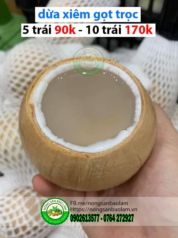 dừa xiêm gọt trọc - trái cây quận 10 hcm - nông sản bảo lâm Nông Sản Bảo Lâm, Trái Cây Quận 10 HCM, Trái Cây Sài Gòn, Trái Cây Xanh, Trái Cây Sạch, Trái Cây Xuất Khẩu, Trái Cây Nhập Khẩu, Trái Cây Theo Mùa, Trái Cây Vườn, Nông Sản Sạch, fruits, healthy food, Hàng Tiêu Dùng, Hải Sản Tươi Sống, Nho, Dâu, Táo, Lê, Sầu Riêng, Bưởi, Thơm, Dưa Hấu, Cherry, Cá, Hàu, Thịt Heo, Thịt Gà, Thịt Bò, Mẹ, Bé