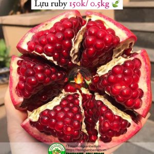 Nông Sản Bảo Lâm, Trái Cây Quận 10 HCM, Trái Cây Sài Gòn, Trái Cây Xanh, Trái Cây Sạch, Trái Cây Xuất Khẩu, Trái Cây Nhập Khẩu, Trái Cây Theo Mùa, Trái Cây Vườn, Nông Sản Sạch, fruits, healthy food, Hàng Tiêu Dùng, Hải Sản Tươi Sống, Nho, Dâu, Táo, Lê, Sầu Riêng, Bưởi, Thơm, Dưa Hấu, Cherry, Cá, Hàu, Thịt Heo, Thịt Gà, Thịt Bò, Mẹ, Bé