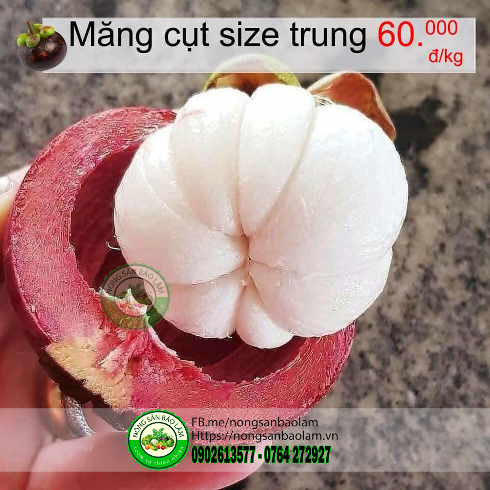 măng cụt size trung - nongsanbaolam
