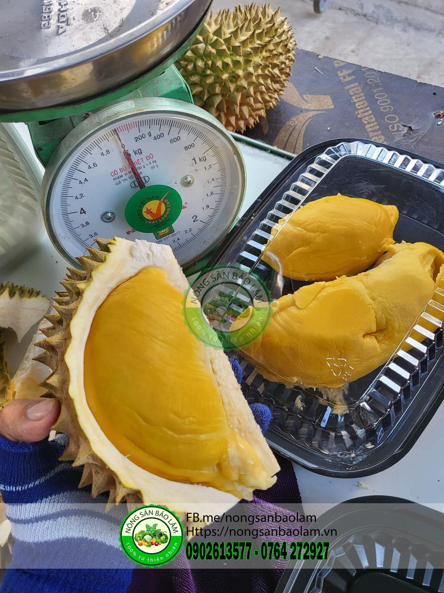 sầu riêng óc khỉ - nongsanbaolam 7