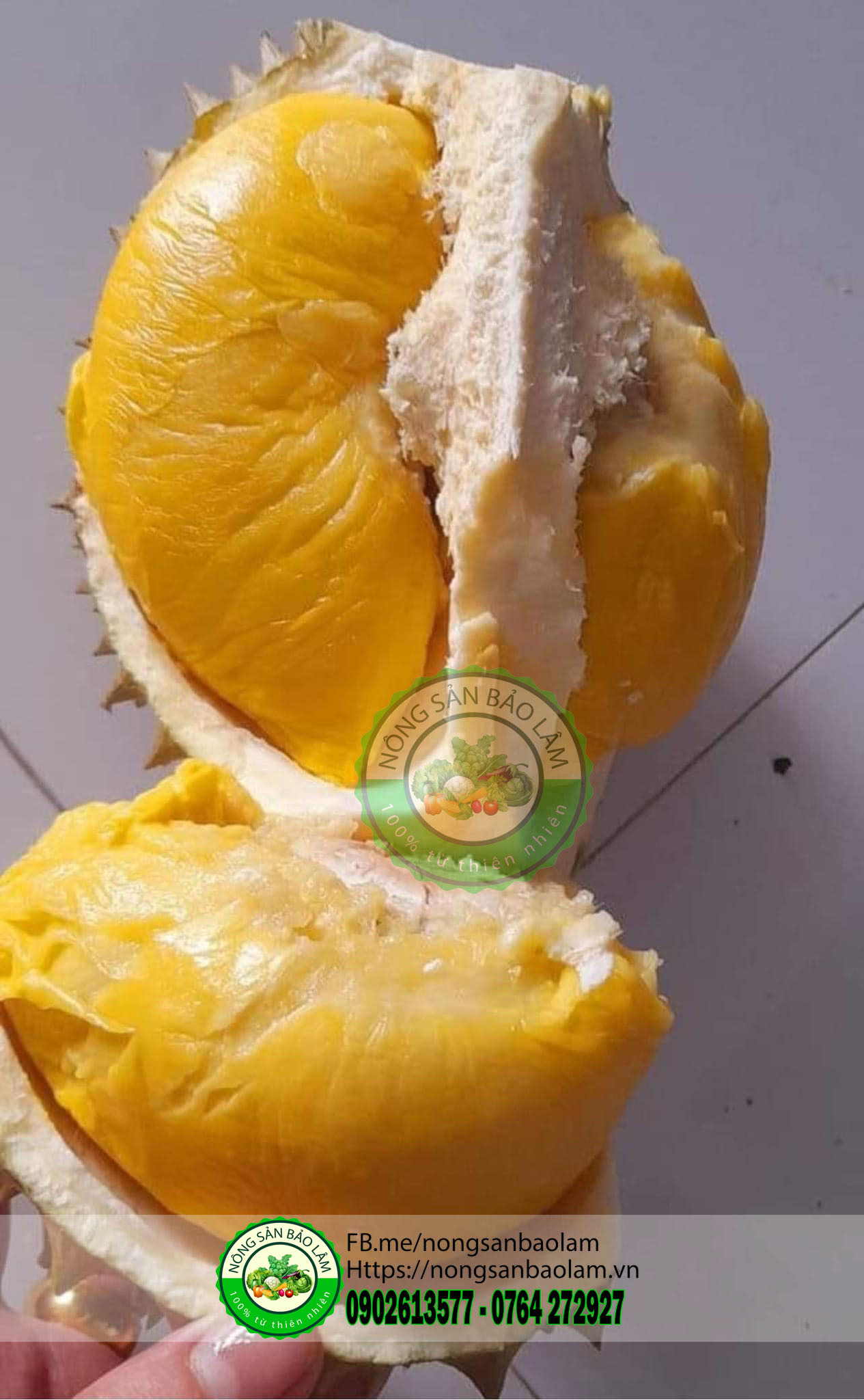 sầu riêng óc khỉ - nongsanbaolam