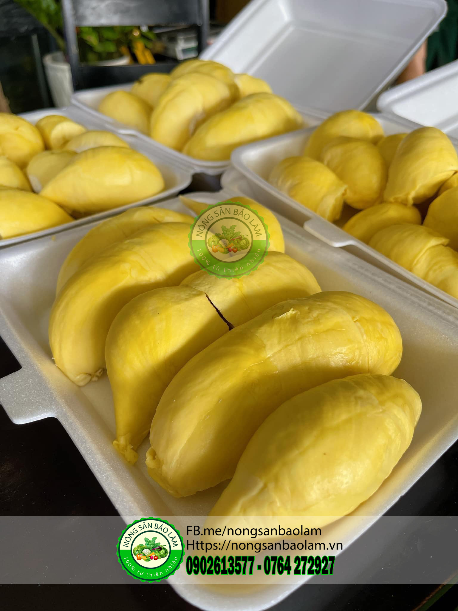 sầu riêng thai monthong - nongsanbaolam 2
