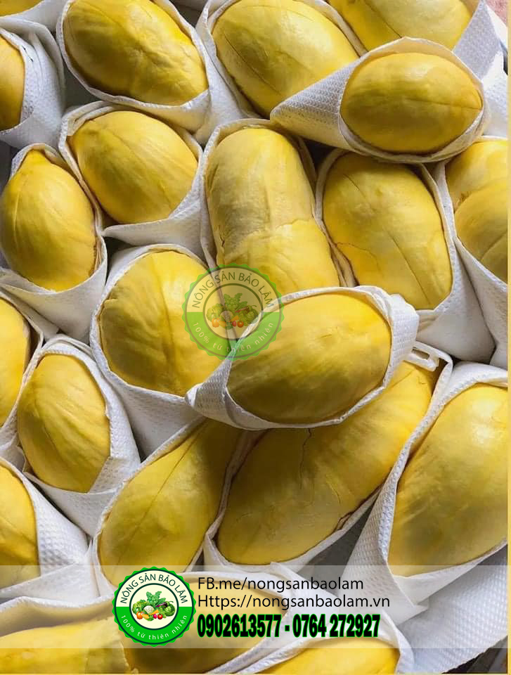 sầu riêng thai monthong - nongsanbaolam 4
