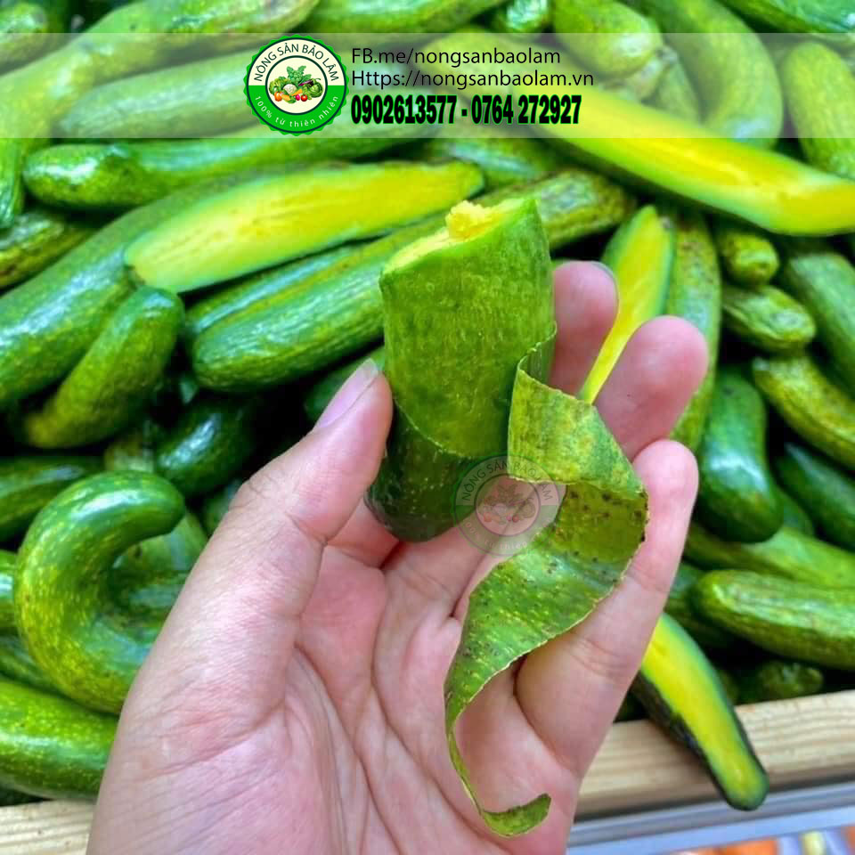 BƠ NGÓN TAY ( BƠ ĐỰC 034) - trái cây quận 10 hcm - nông sản bảo lâm 2
