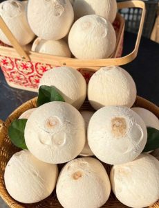 Dừa Xiêm - Set 10 trái