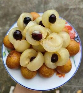 Nhãn Bắp cải